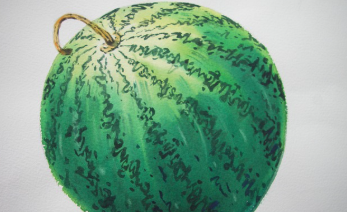 수박껍질 음식물쓰레기? 24