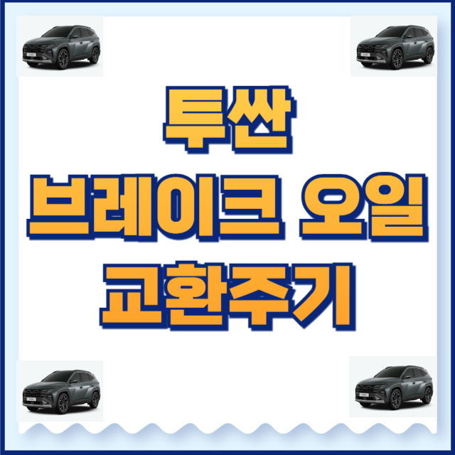 투싼 브레이크오일