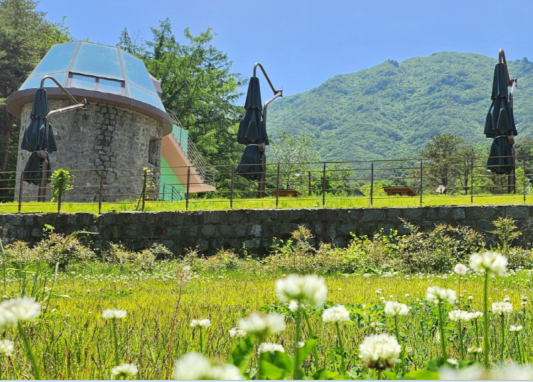 가야산 생태탐방원 전경