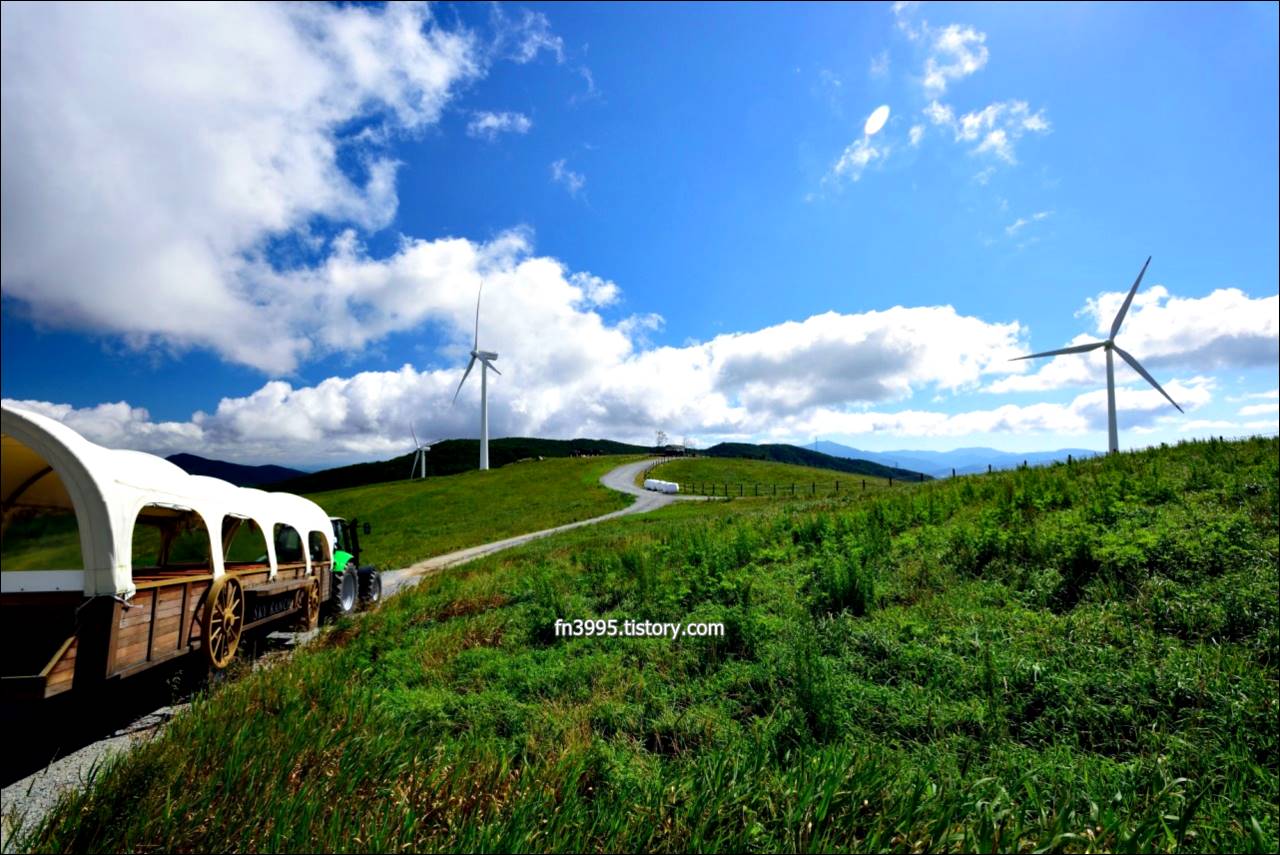 대관령 하늘목장
