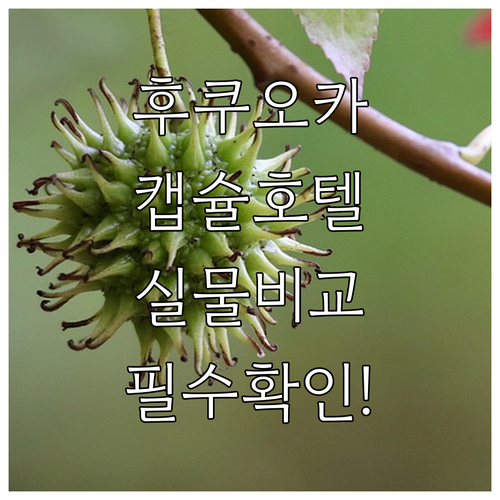 나홀로 여행객을 위한 후쿠오카 캡슐 ..