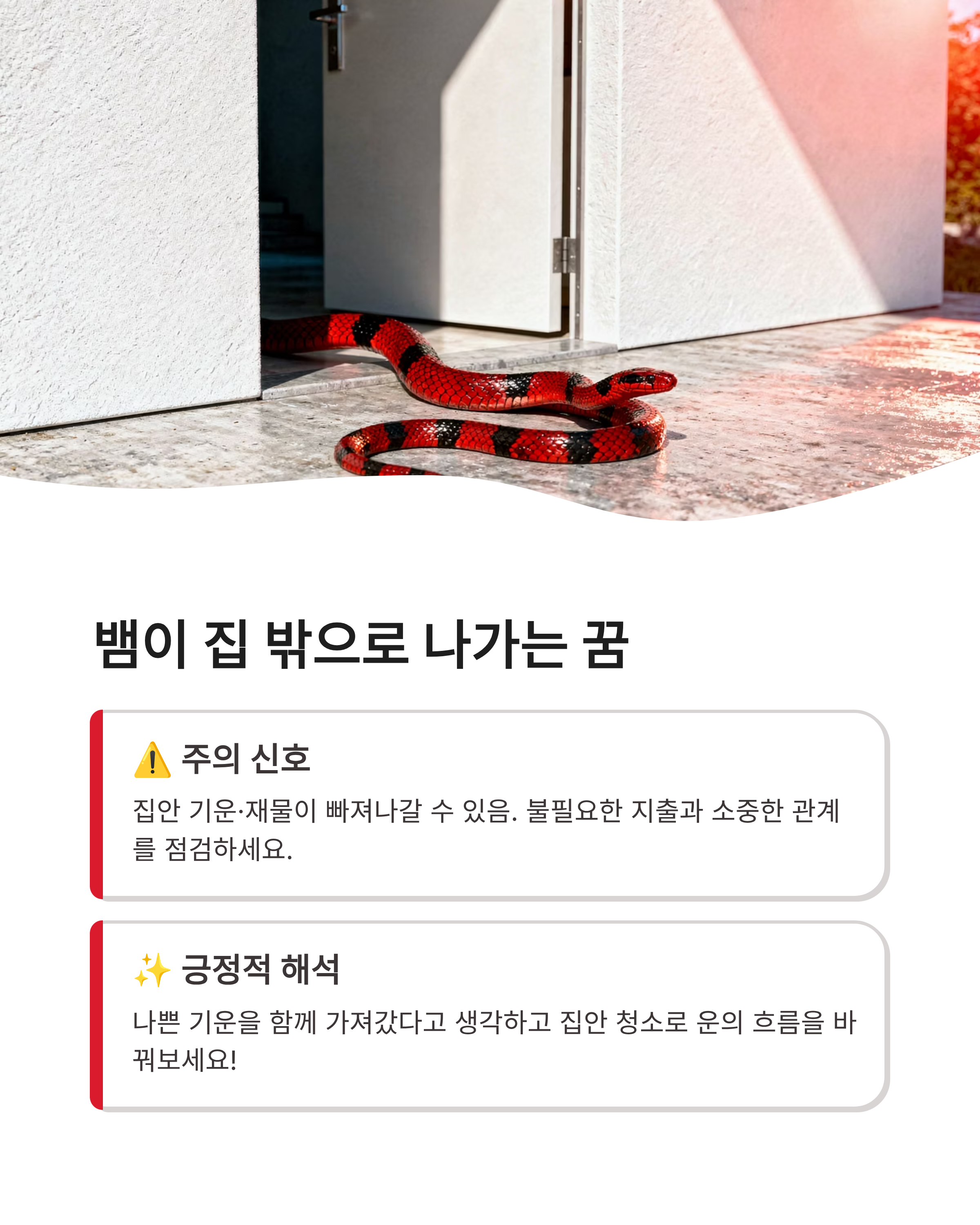뱀꿈 해몽 큰 뱀 검은 뱀 물리는 꿈까지 상황별 완벽 정리! 오늘 밤 당신에게 찾아온 대박 기회?