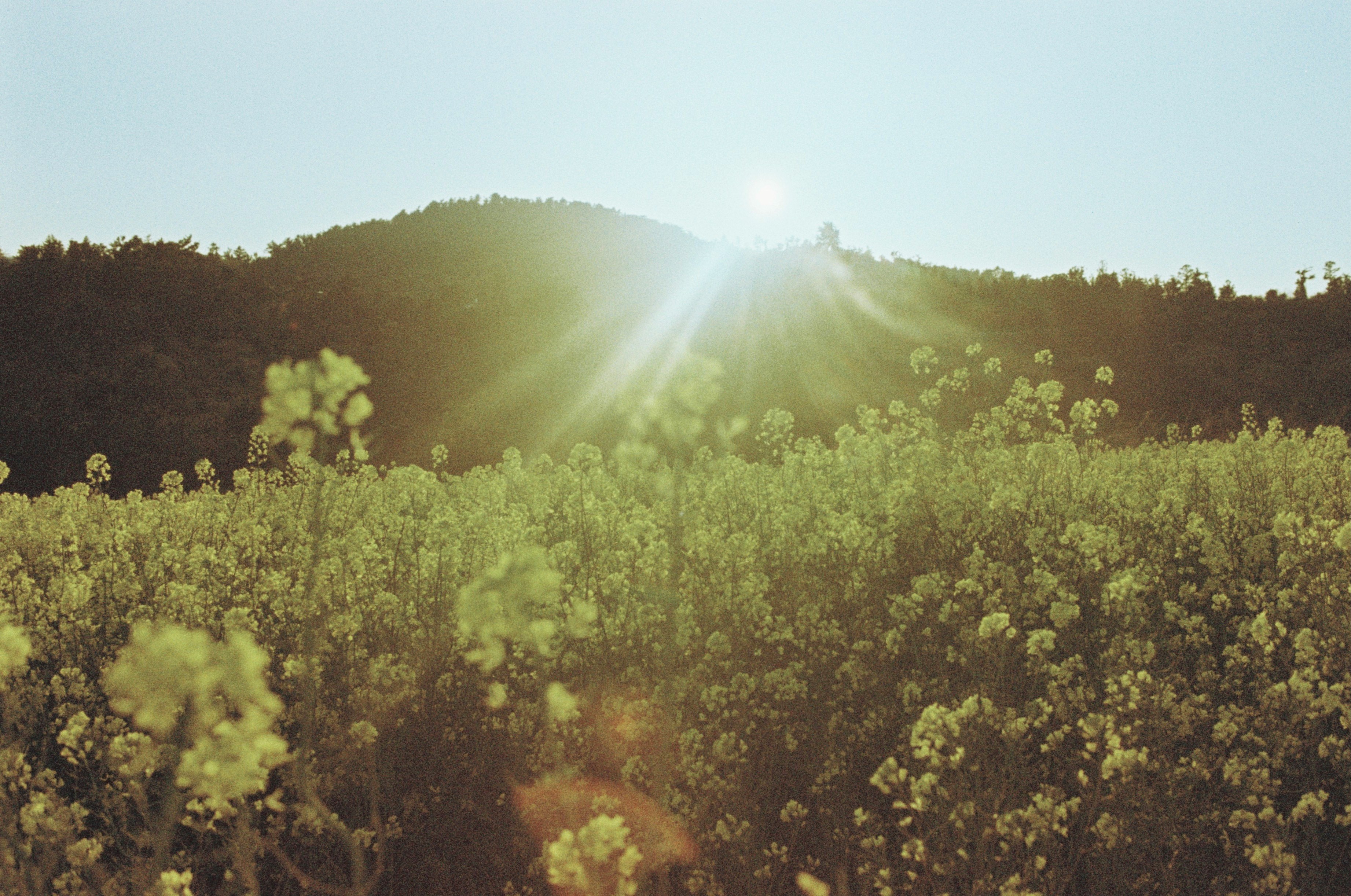 가족과 함께 떠나는 추천 국내 여행지 TOP 5