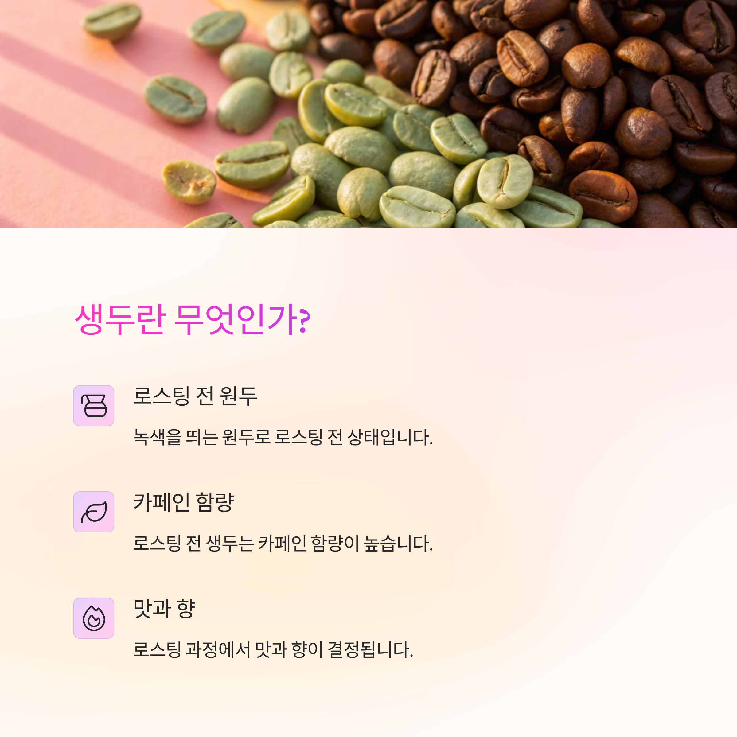 🌱 생두란 무엇인가요?