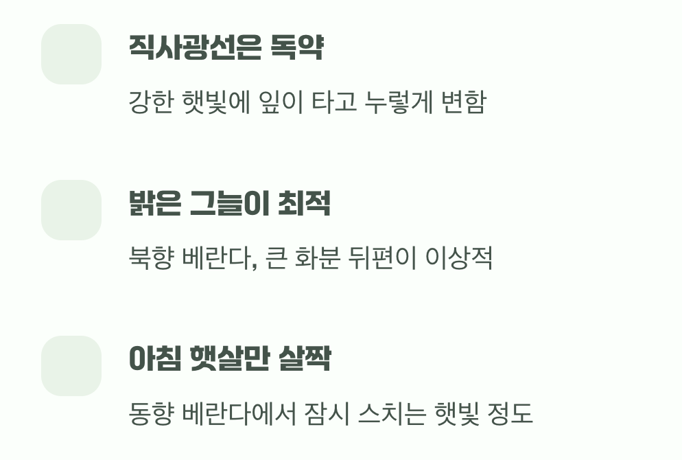 최고의 명당, 그늘을 사랑하는 식물