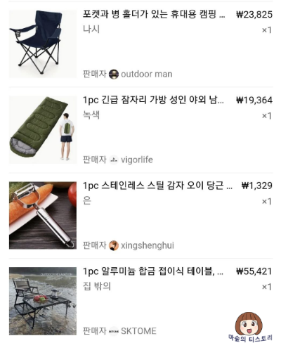 TEMU 에서 크레딧으로 구매한 캠핑 용품들