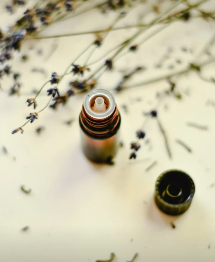 라벤더 오일 효능