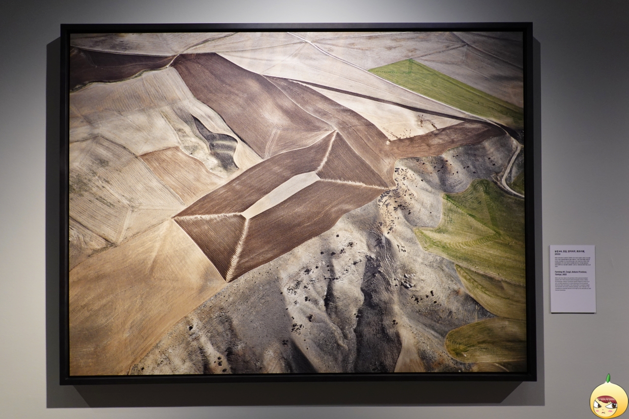 농업 #4, 칭길, 앙카라주, 튀르키예, 2022