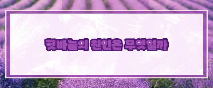 혓바늘이 돋는 이유 (+빠른치료법)