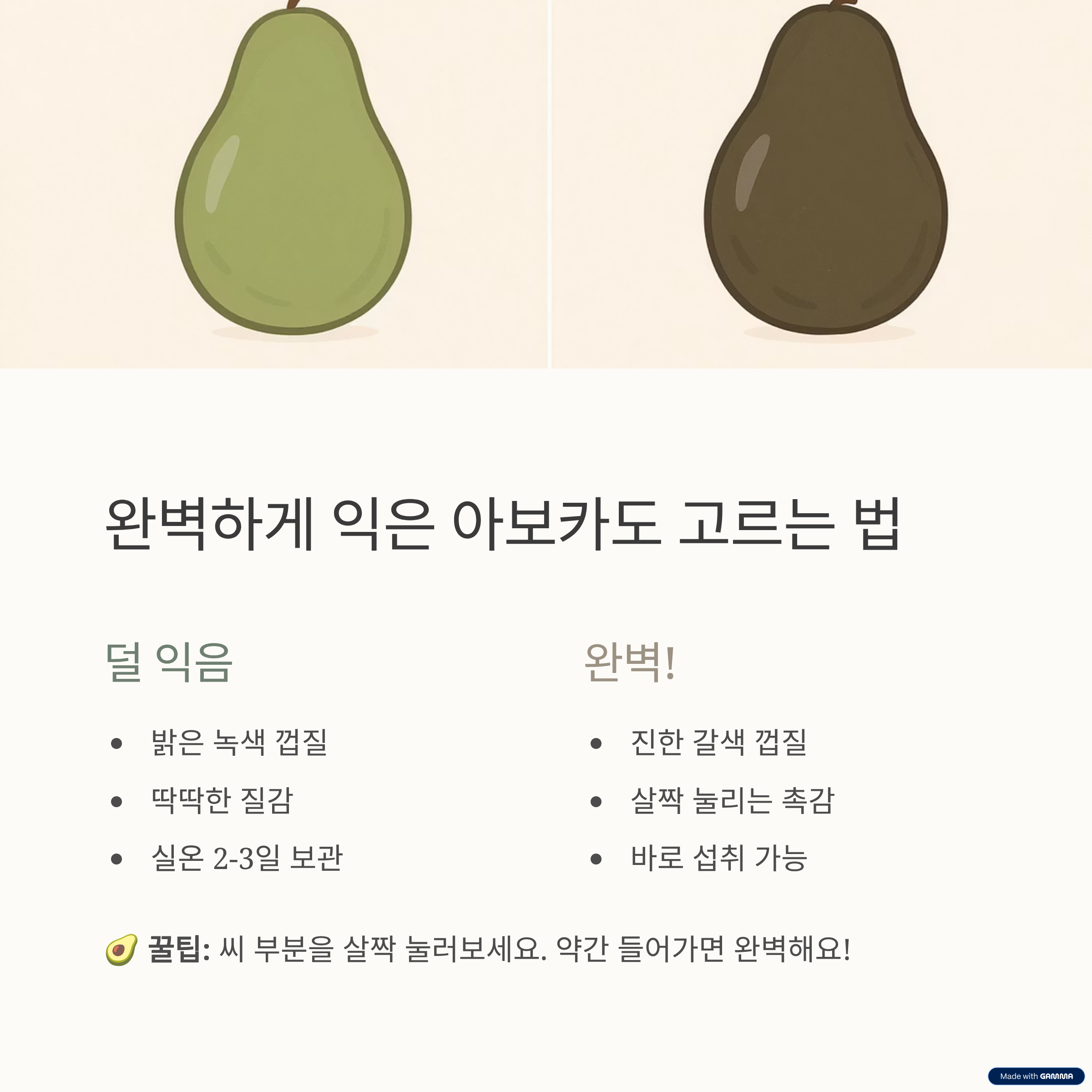 아보카도