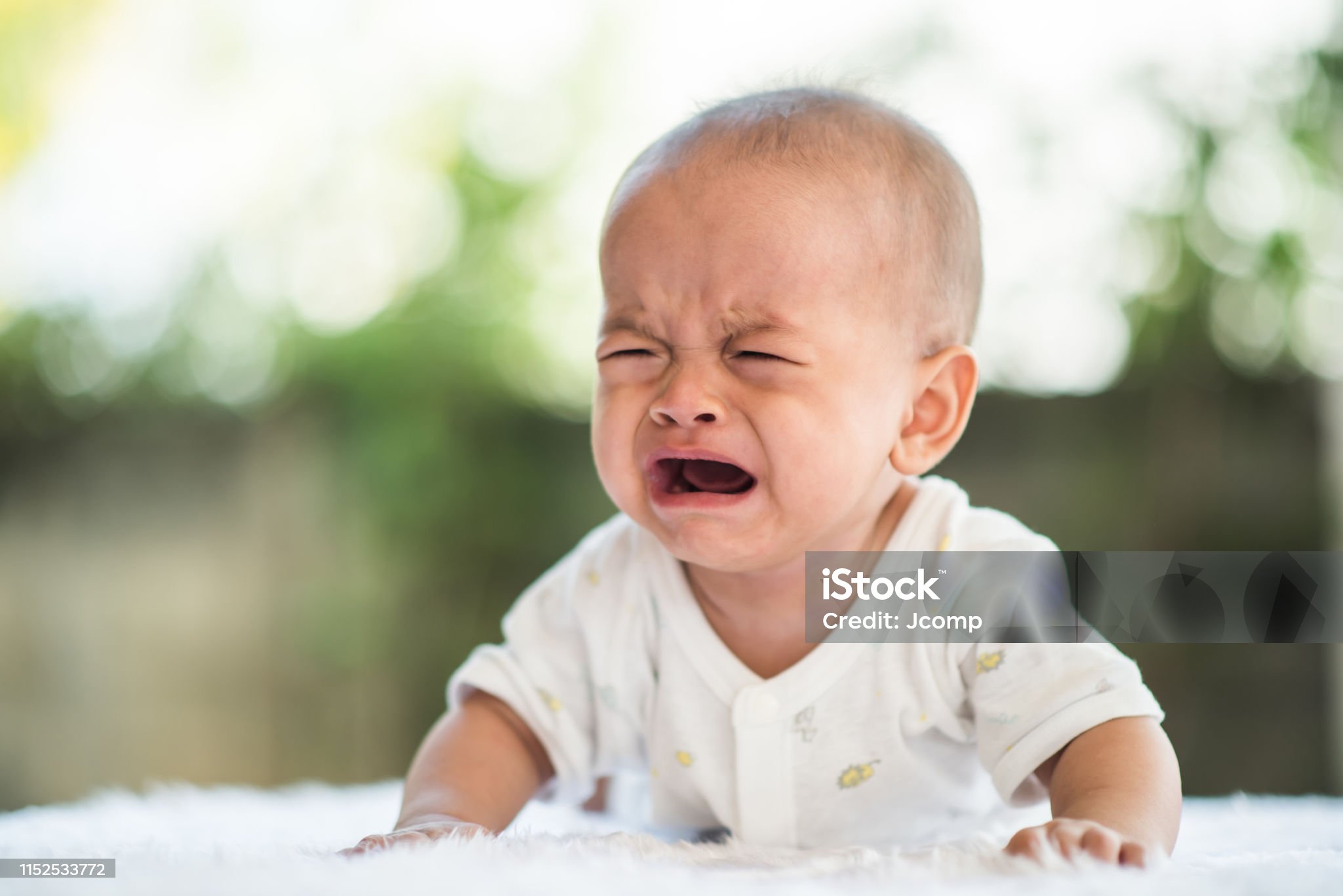 분리불안 대처법