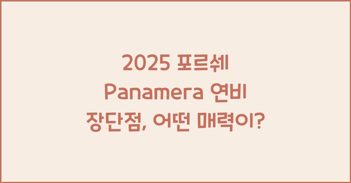 2025 포르쉐 Panamera 연비 장단점