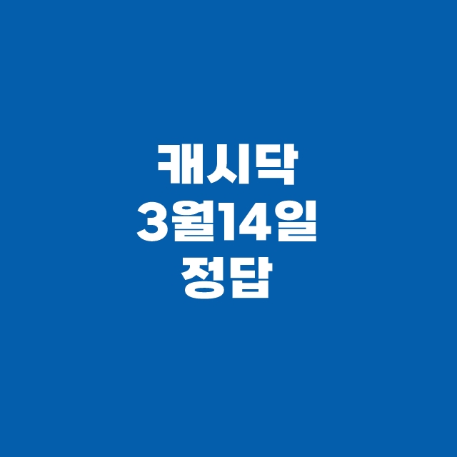 캐시닥