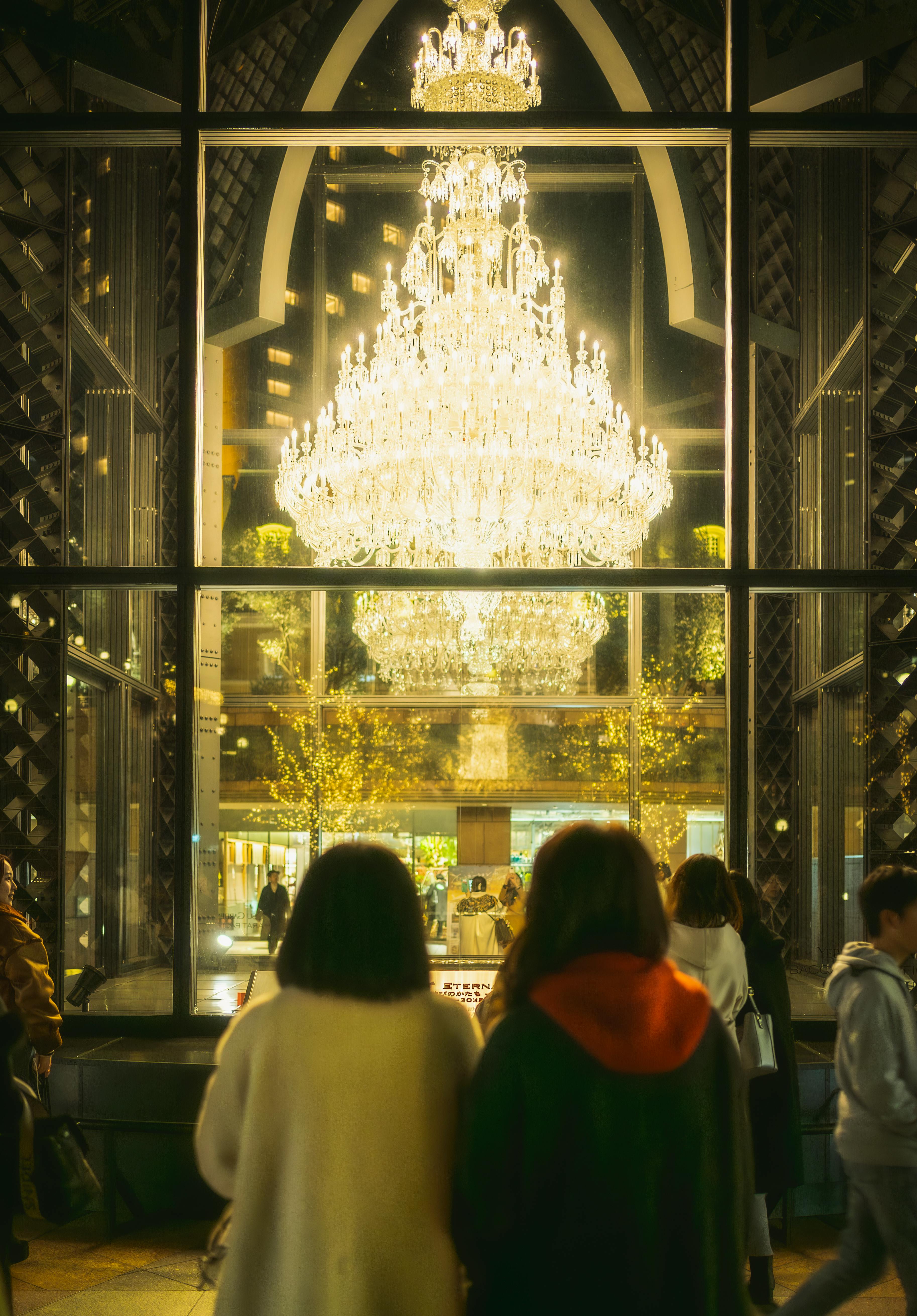 일본 겨울 일루미네이션 사진