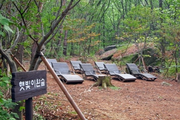 과천 가볼만한곳 베스트10