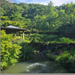 화담채 예약 방법