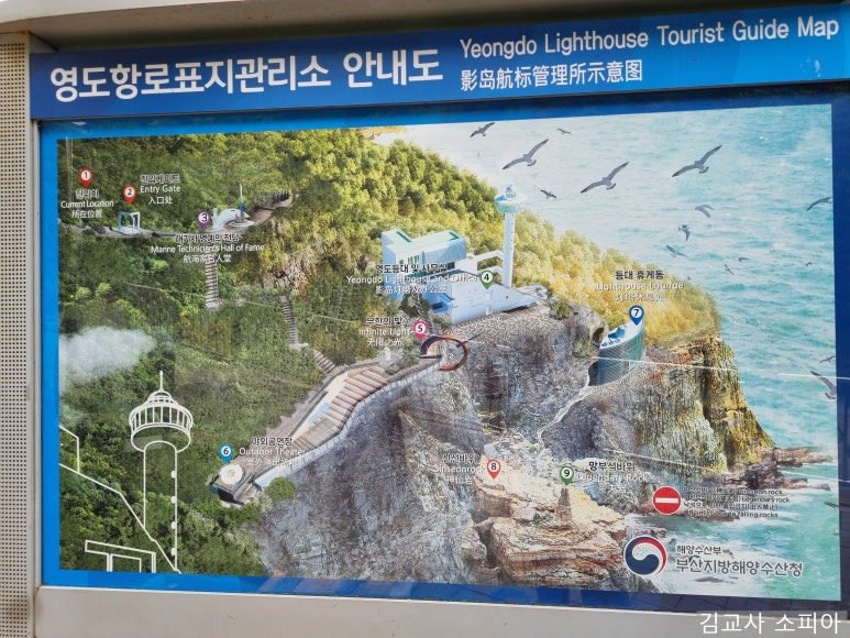 부산 태종대 폭염 여행 리얼후기🌊 여름 필수템 8가지 추천