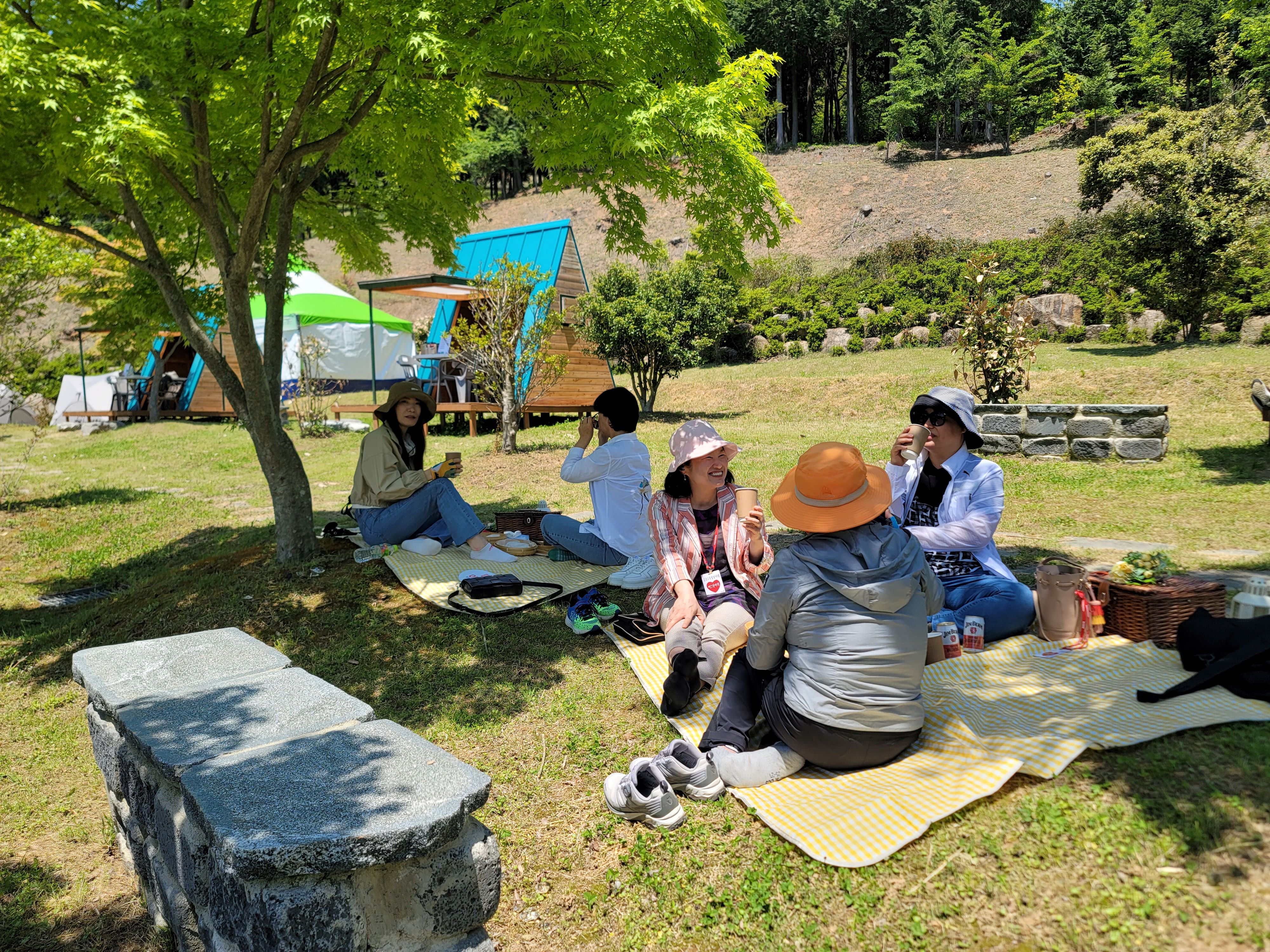 [5월 축제]2025 보성다향대축제❘기간, 일정, 프로그램 예약 방법, 추천코스, 셔틀 정보