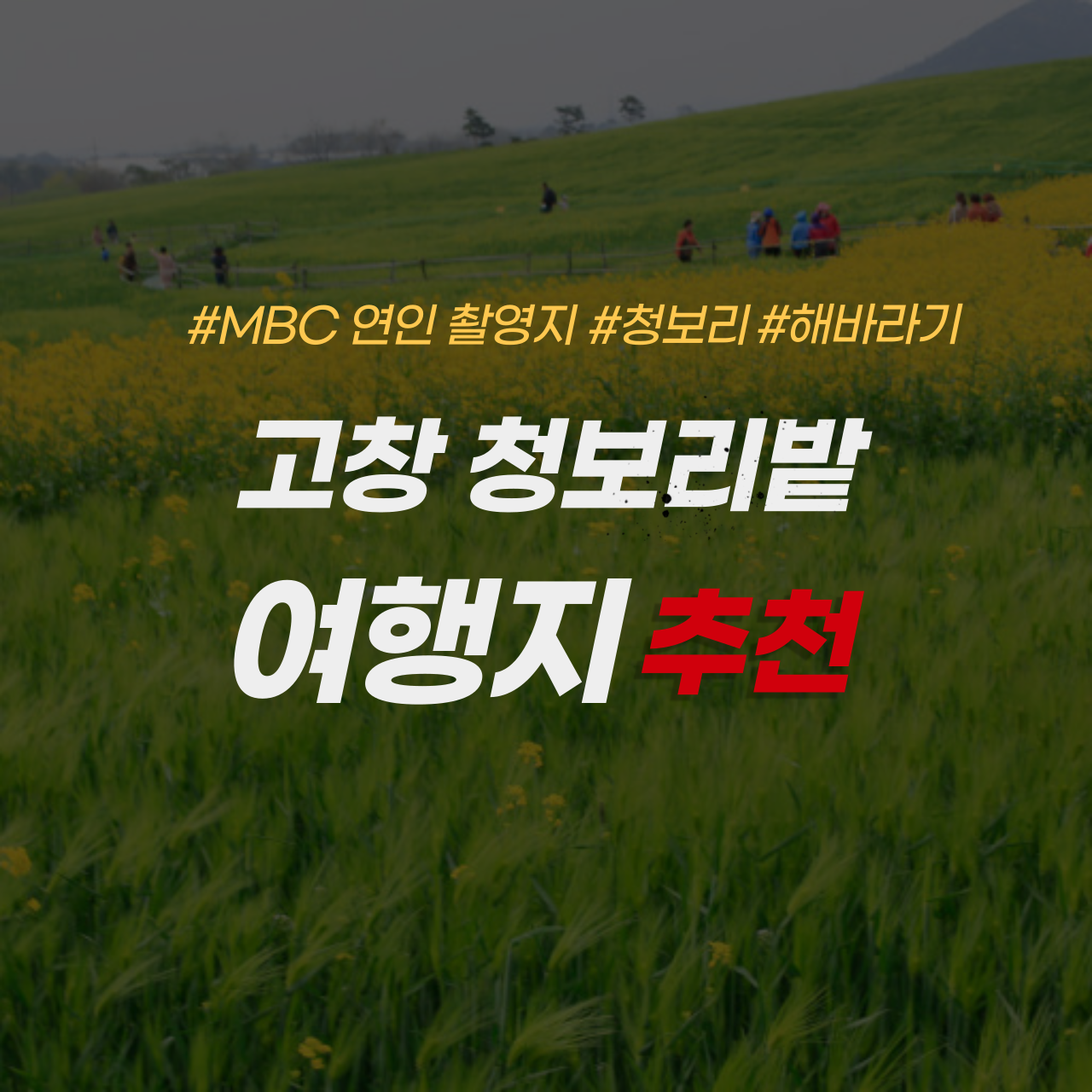 드라마 연인 촬영지 고창 청보리밭