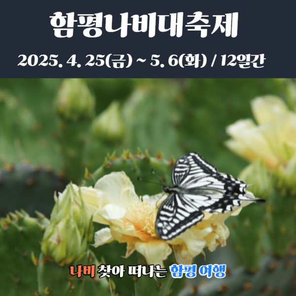 함평 나비축제