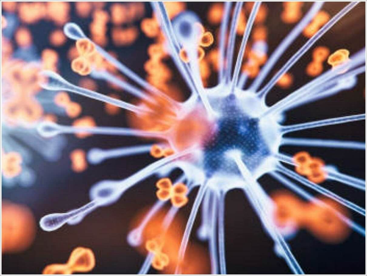 염증에 좋은 음식과 나쁜 음식