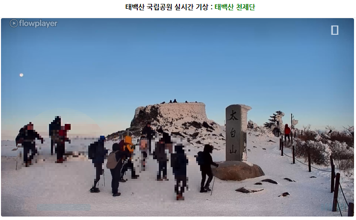 태백산 실시간 CCTV