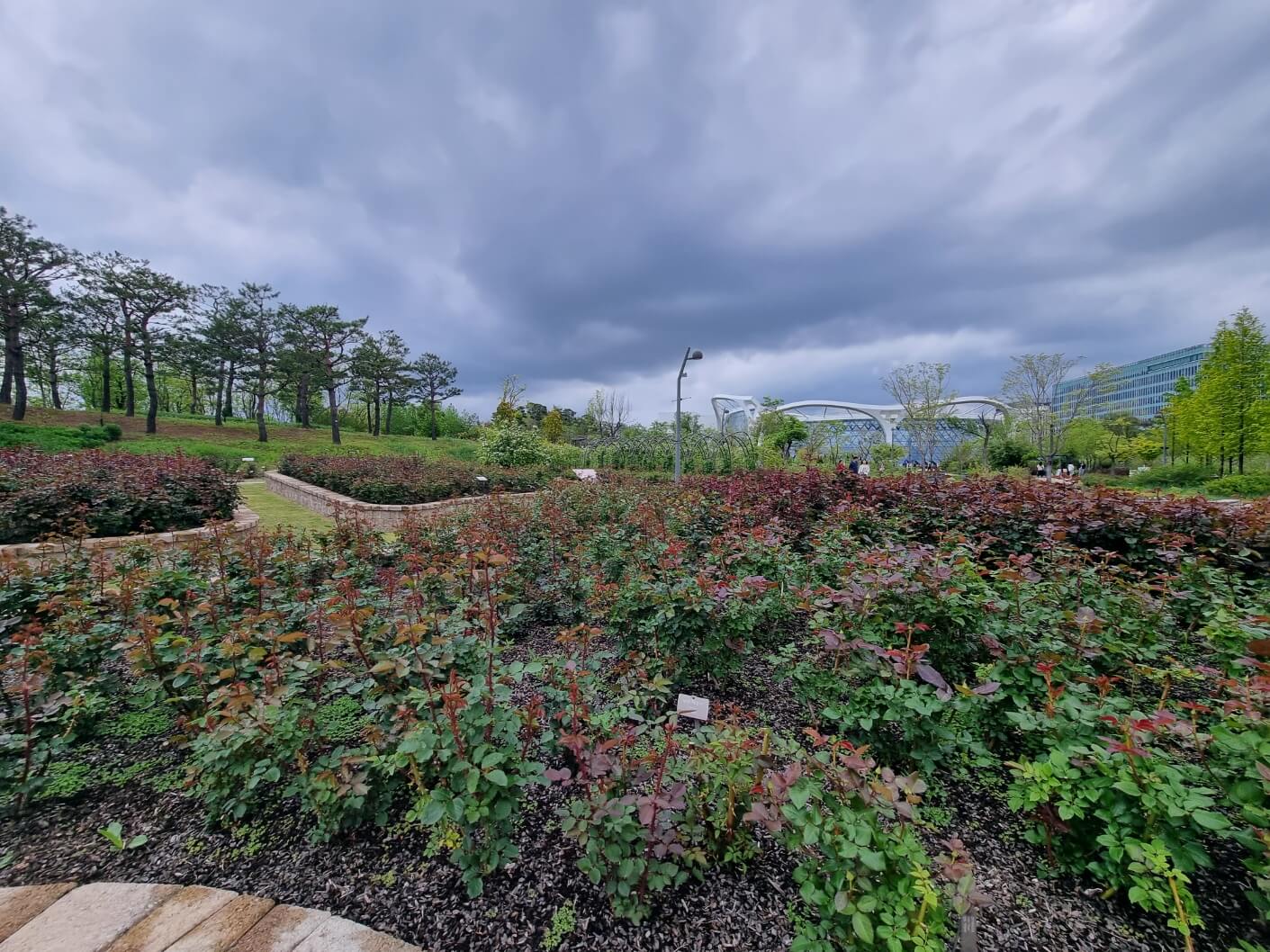 보라매공원 2025 서울 국제정원박람회 일정 가는 길