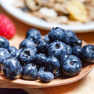 블루베리의 놀라운 효능과 섭취 방법
