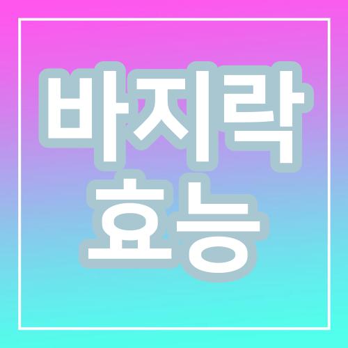 바지락 효능