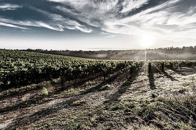도시가스 요금 조회 방법
