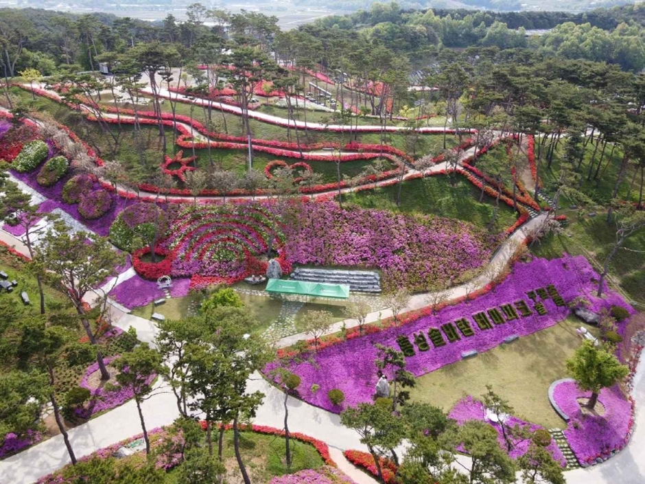 홍성솔바람테마파크