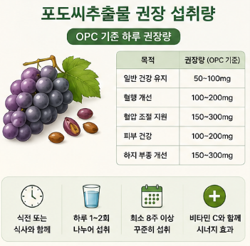포도씨추출물-효과-효능-권장량-부작용-추천-영양제