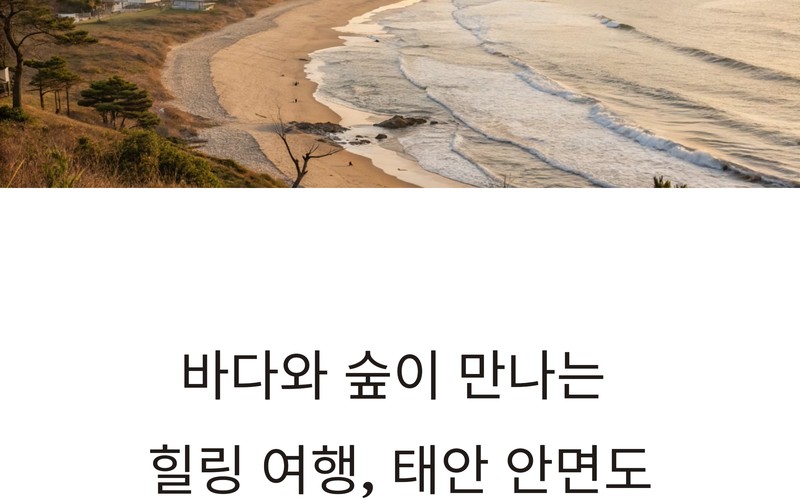 바다 따라 여유롭게 걷는 태안 안면도 1일 여행 코스 &amp; 감성 명소 완벽