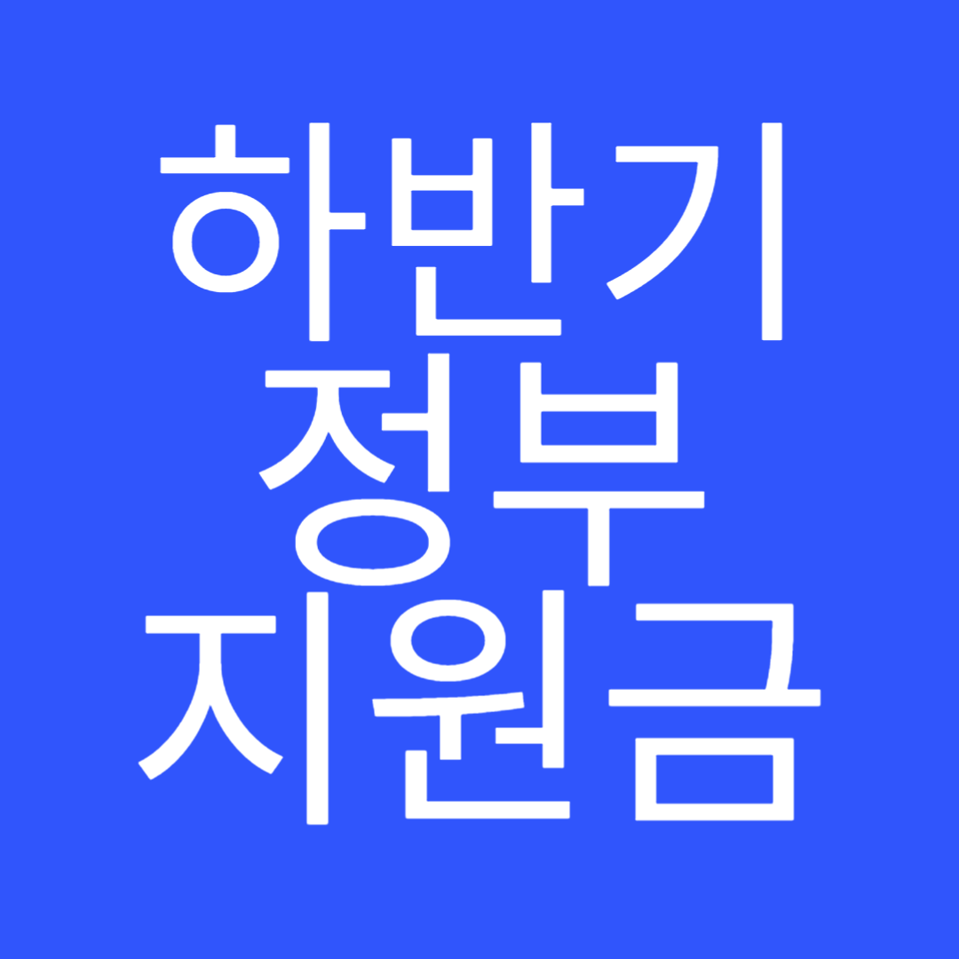 하반기 정부지원금