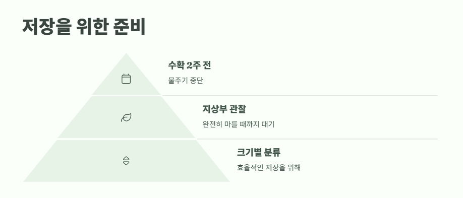 감자 수확시기 타이밍과 방법 15