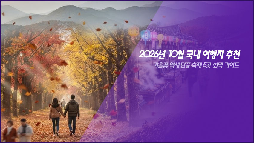 2026년 10월 국내 여행지 추천|가을꽃·억새·단풍·축제 5곳 선택 가이드