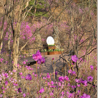화담숲 전경