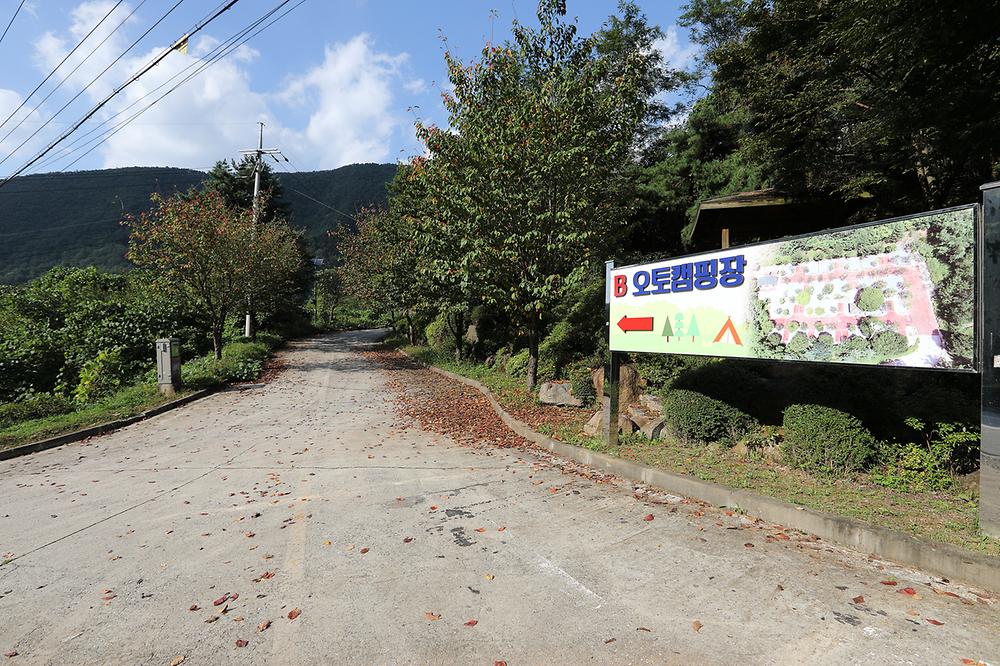 충청북도 단양군 천동오토캠핑장