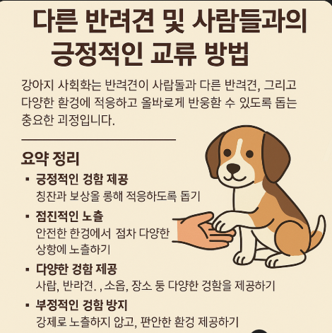강아지 사회화 교육에 관련한 이미지