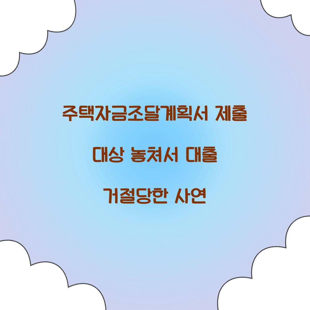 주택자금조달계획서 제출 대상 놓쳐서 대출 거절당한 사연