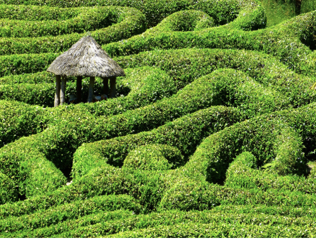 한국의 미로 정원 탐험