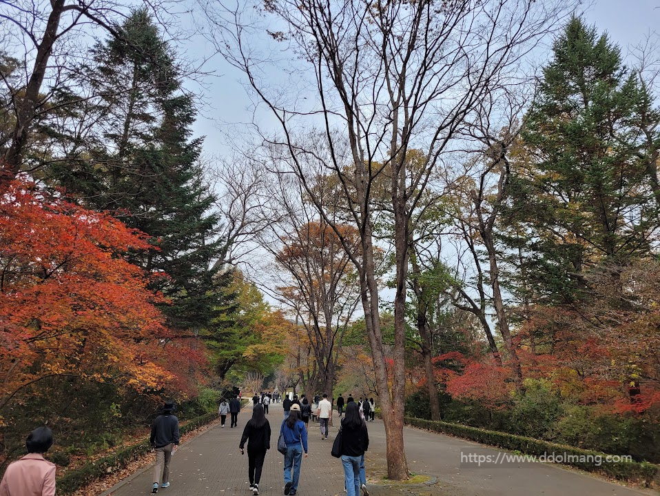 붉게 단풍으로 물든 국립수목원