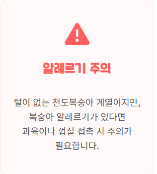 신비 복숭아 수확시기