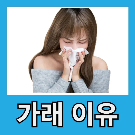 가래가 생기는 이유 알아보자