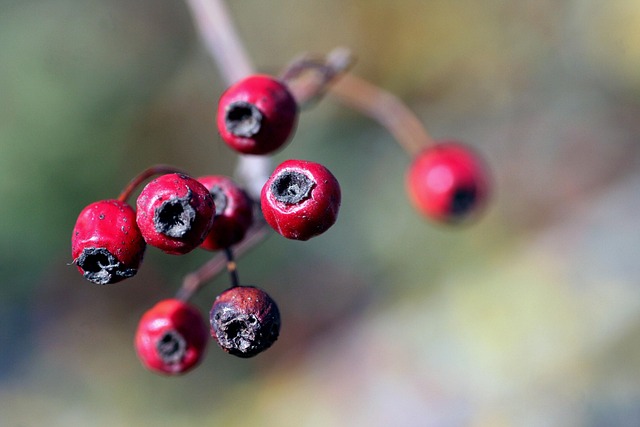 콜레스테롤 낮추는 방법 7