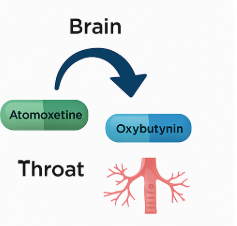아토목세틴과 아록시부티닌을 조합