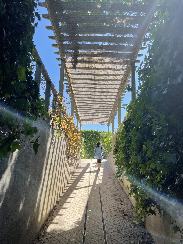 알빵 가든 (Jardin alpin)