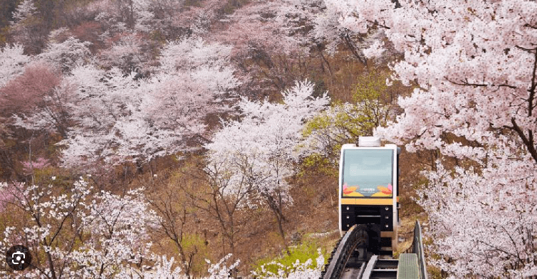 5월 가족 나들이 추천 BEST 7