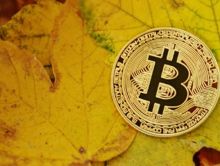 매직에덴 코인 시세