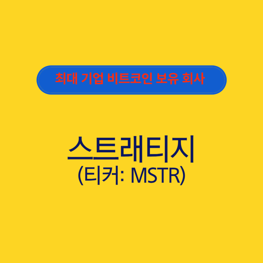 스트래티지 : 최대 기업 비트코인 보유 회사